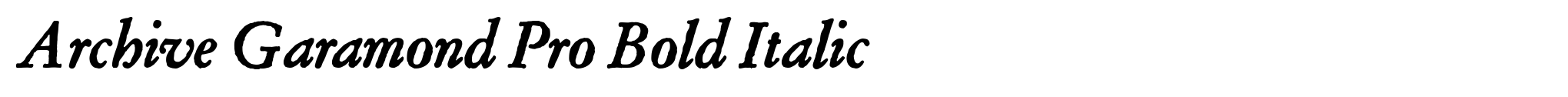 Archive Garamond Pro Bold Italic image